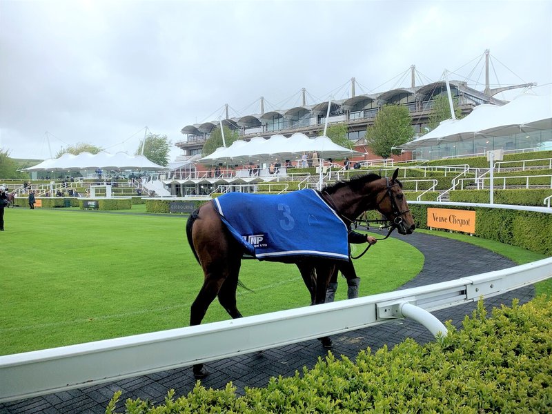 総合評価 競馬場探訪 英 グッドウッド競馬場 Goodwood Racecourse 小和田 逸平 Note 総合評価 競馬場探訪 英 グッドウッド競馬場 Goodwood Racecourse 小和田 逸平 Note