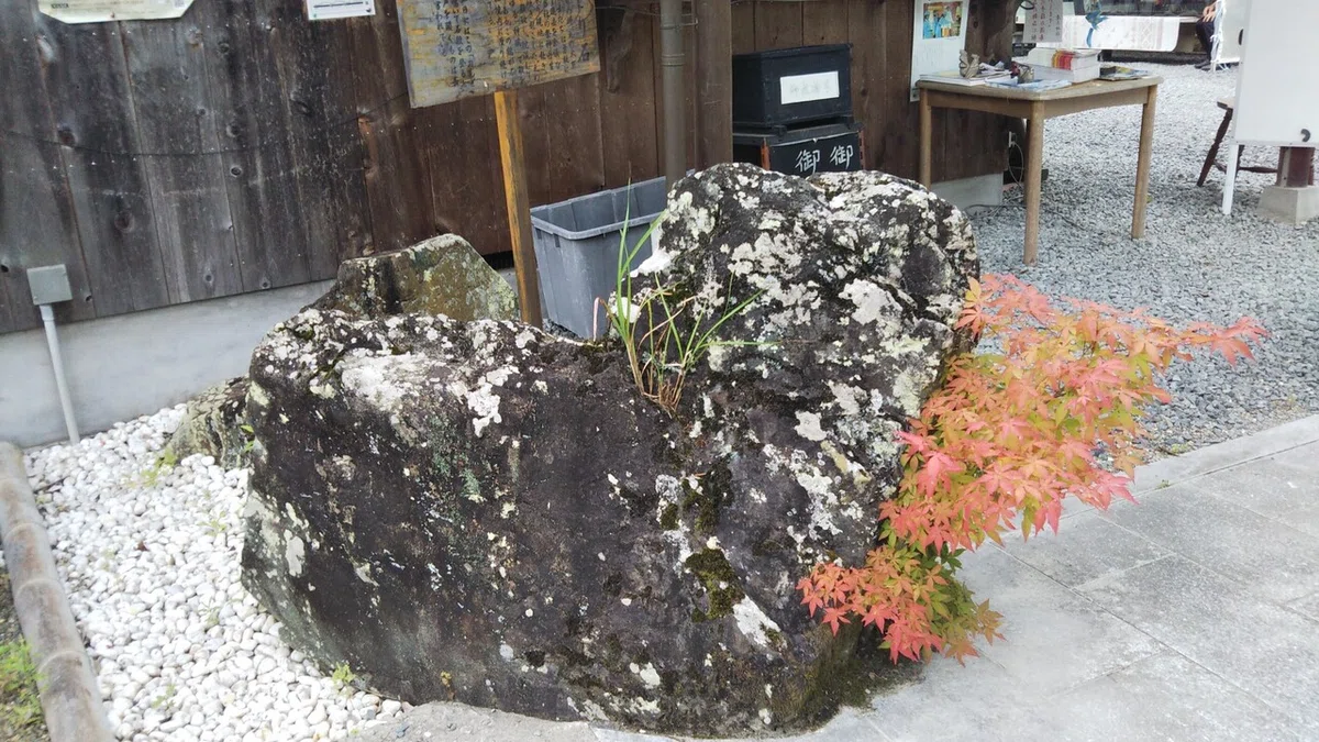 画像6