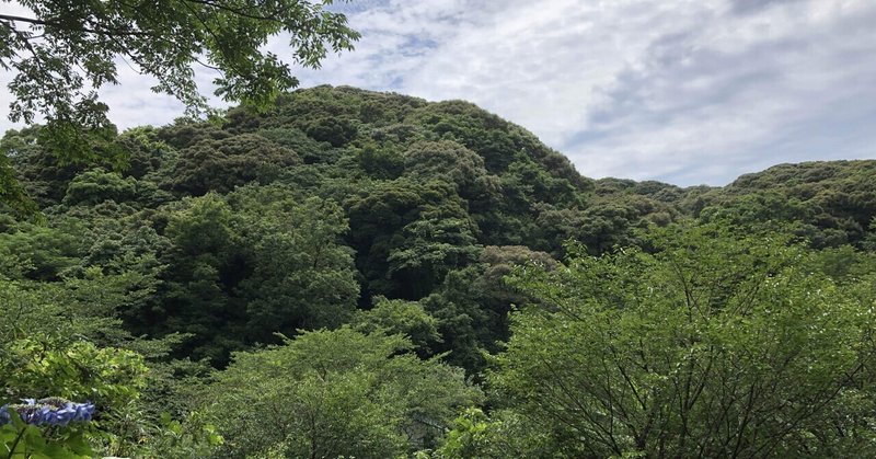 土持氏の第二の居城　西階城　再び