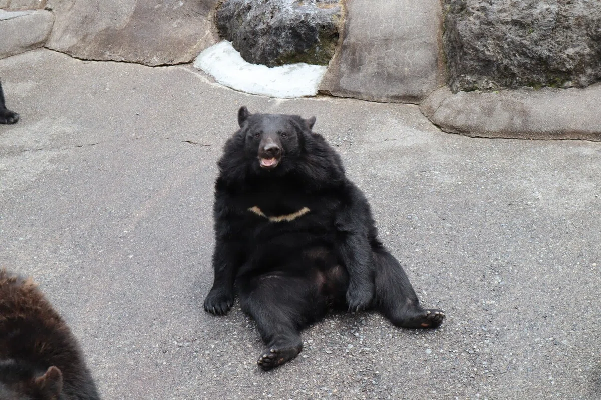 画像37