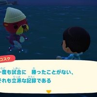 ポケモンsm 配布限定ポケモンメモ ゴンベ がみ Note