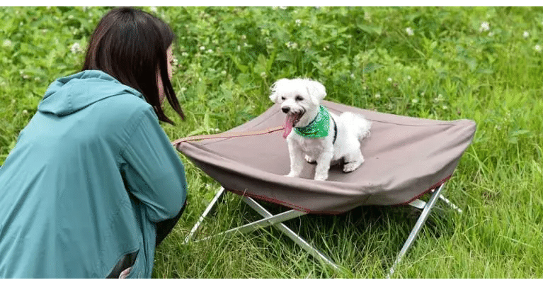 家でもキャンプでも！スノーピークの犬用コット｜camploggear