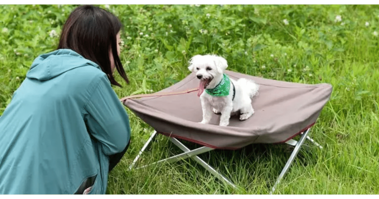 家でもキャンプでも！スノーピークの犬用コット｜camploggear