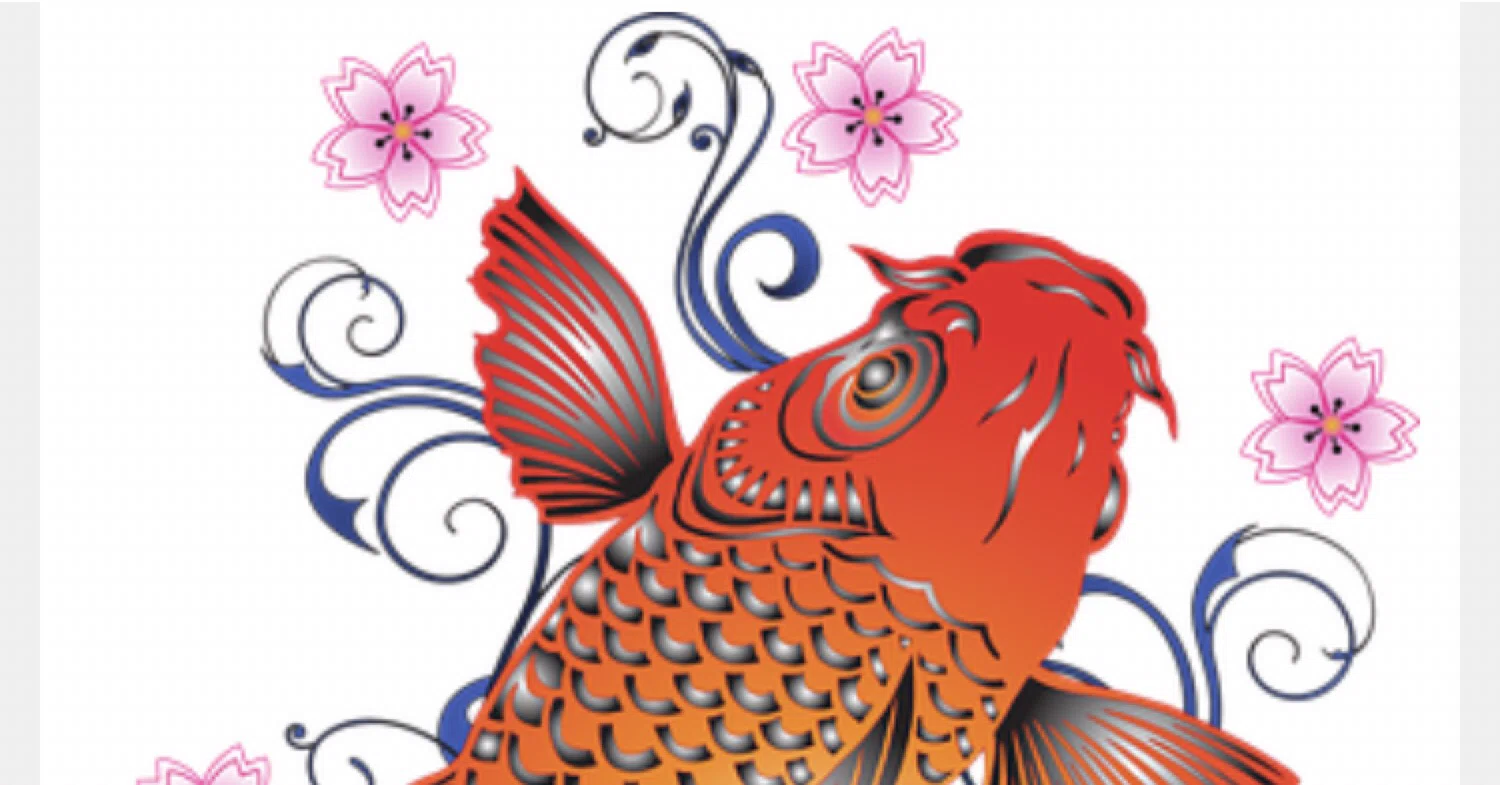 Top of carp｜note