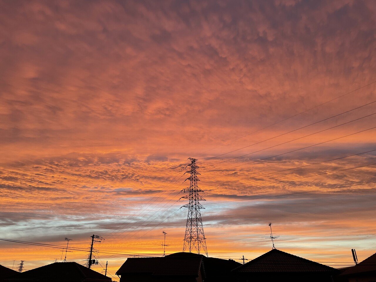 昨夜の19時頃の夕焼けです 本当に日が長くなったなぁ と思ったら 今日は夏至なのですね 明日からは日が短くなって行くわけで 少しおセンチな気分 になりました 夕焼けの翌日は晴天 という言葉のとおり 朝から リサ リン Note