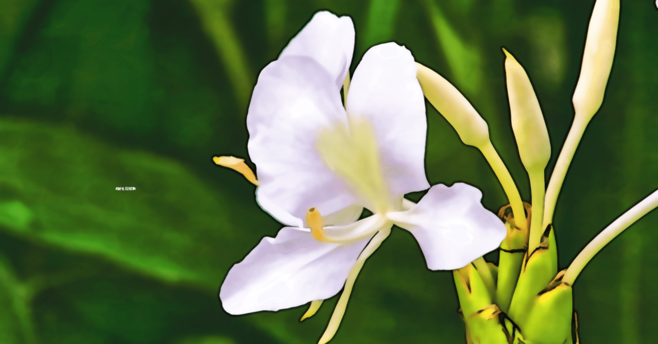 6月21日 誕生花は花縮砂 誕生花短歌 最終更新 御子柴 流歌 Note