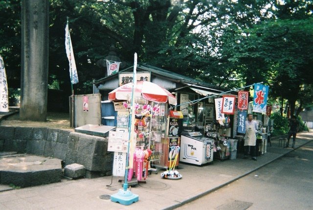 上野公園にて。とても、懐かしい気持ちが呼び起こされる。(写ルンです使用)