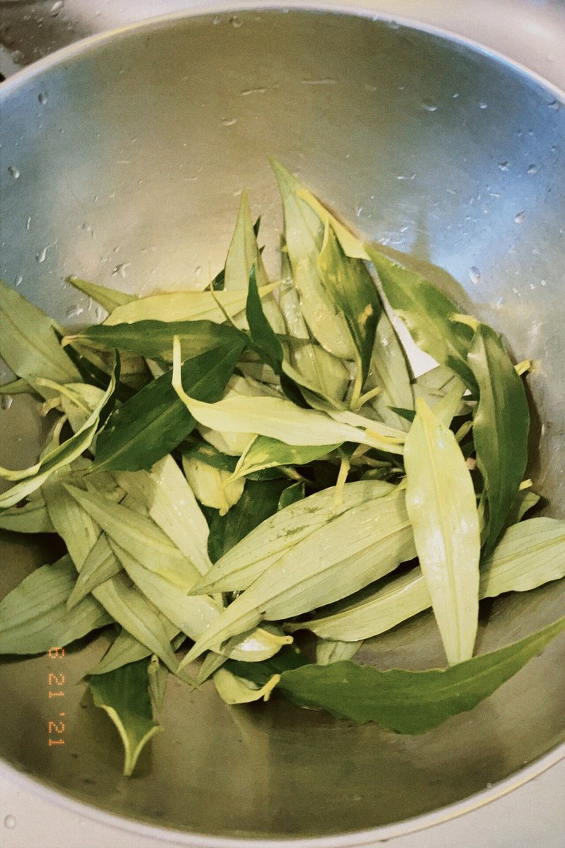 初投稿 ツユクサ をたべる Mireo Note