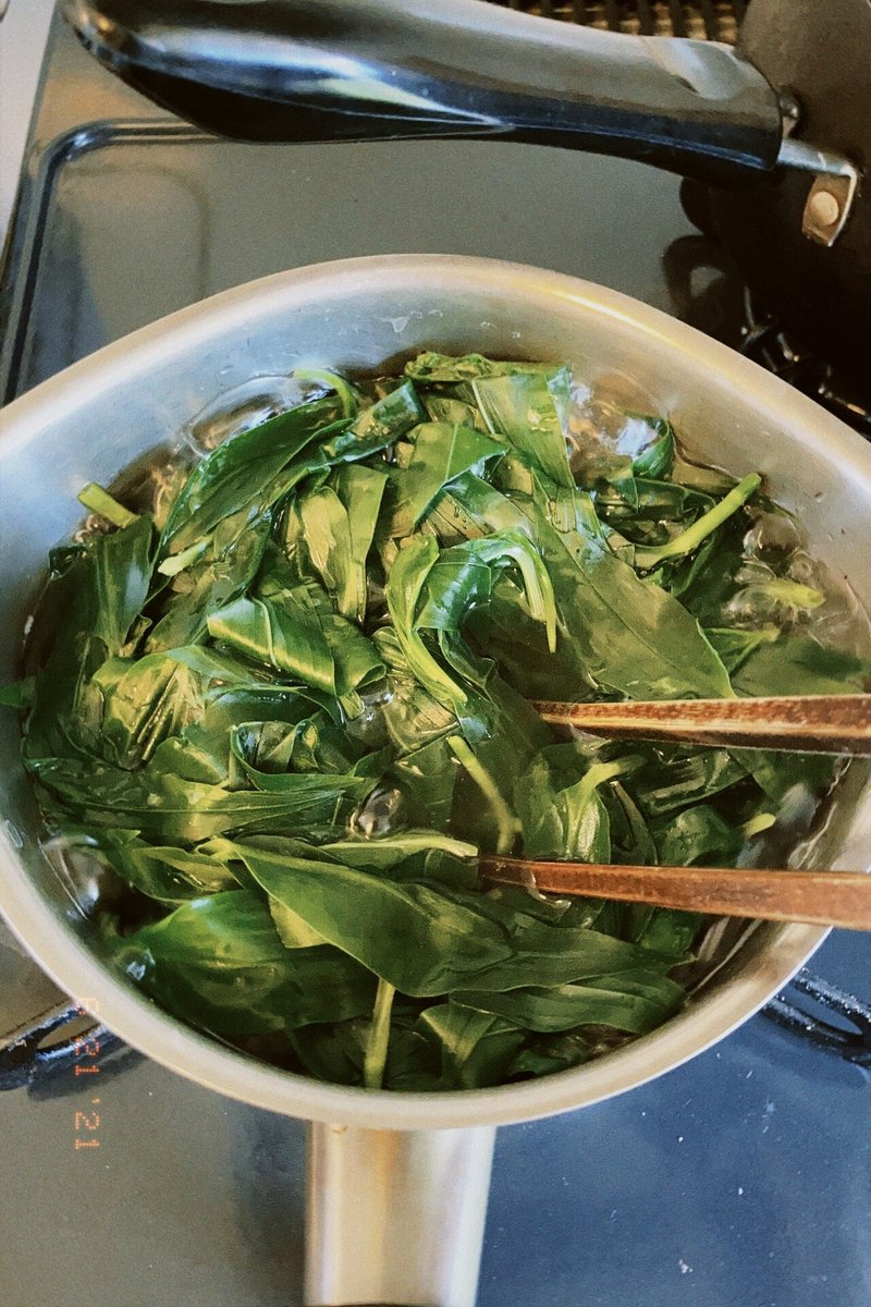 初投稿 ツユクサ をたべる Mireo Note