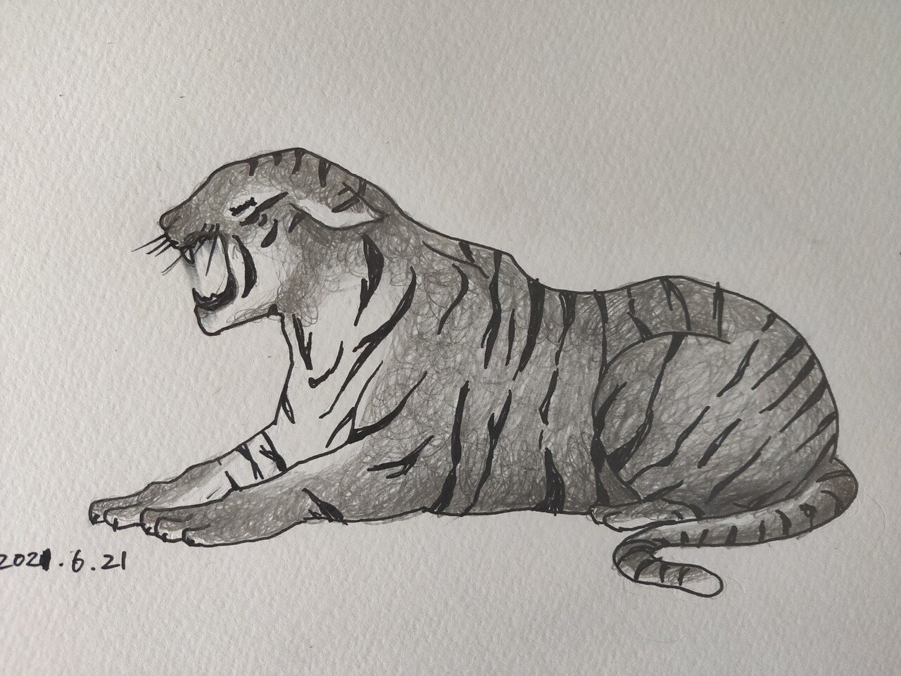 あくびをするトラ Kujira Note