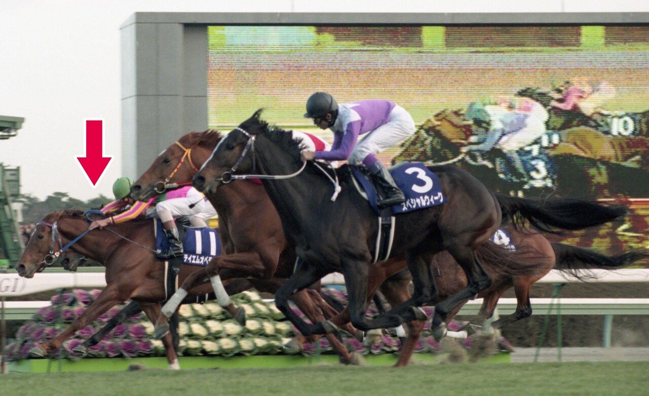 ☆ウマ娘馬券☆テイエムオペラオー第45回有馬記念現地的中単勝馬券