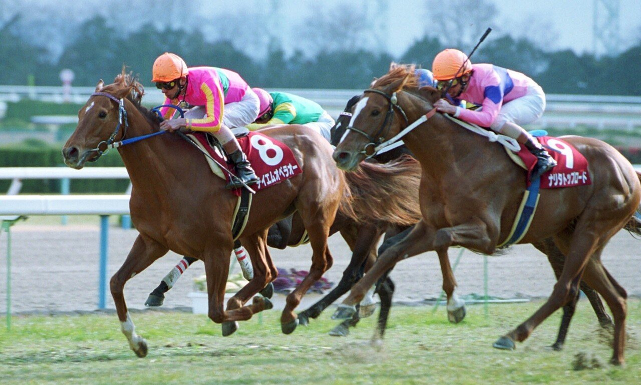 単勝馬券】世紀末覇王 テイエムオペラオー 阪神大賞典 宝塚…-