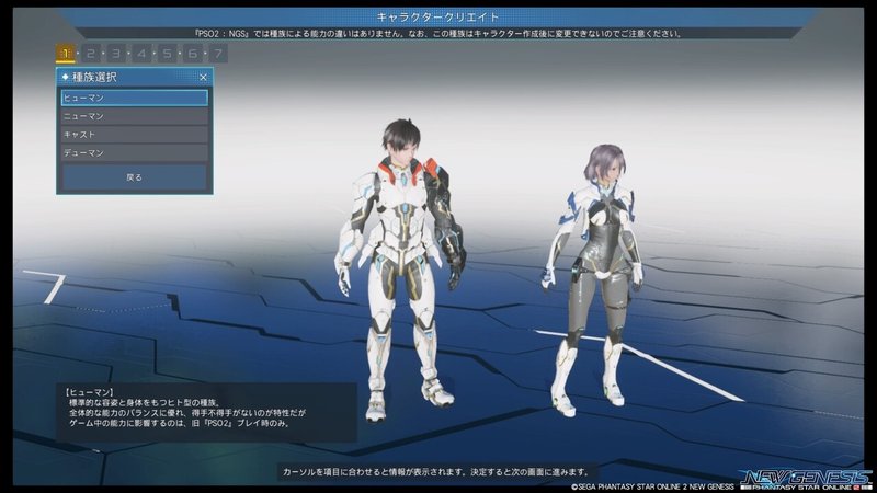 Pso2 Ngs キャラクリエイトするよ 画像多め 長文 たま Note