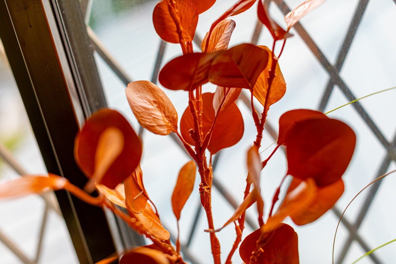 オレンジ色のキツネに出会った いのちの木 絵本を思い出すところ 18 ポプラ社 こどもの本編集部 Note オレンジ色のキツネに出会った いのちの木 絵本を思い出すところ 18 ポプラ社 こどもの本編集部 Note