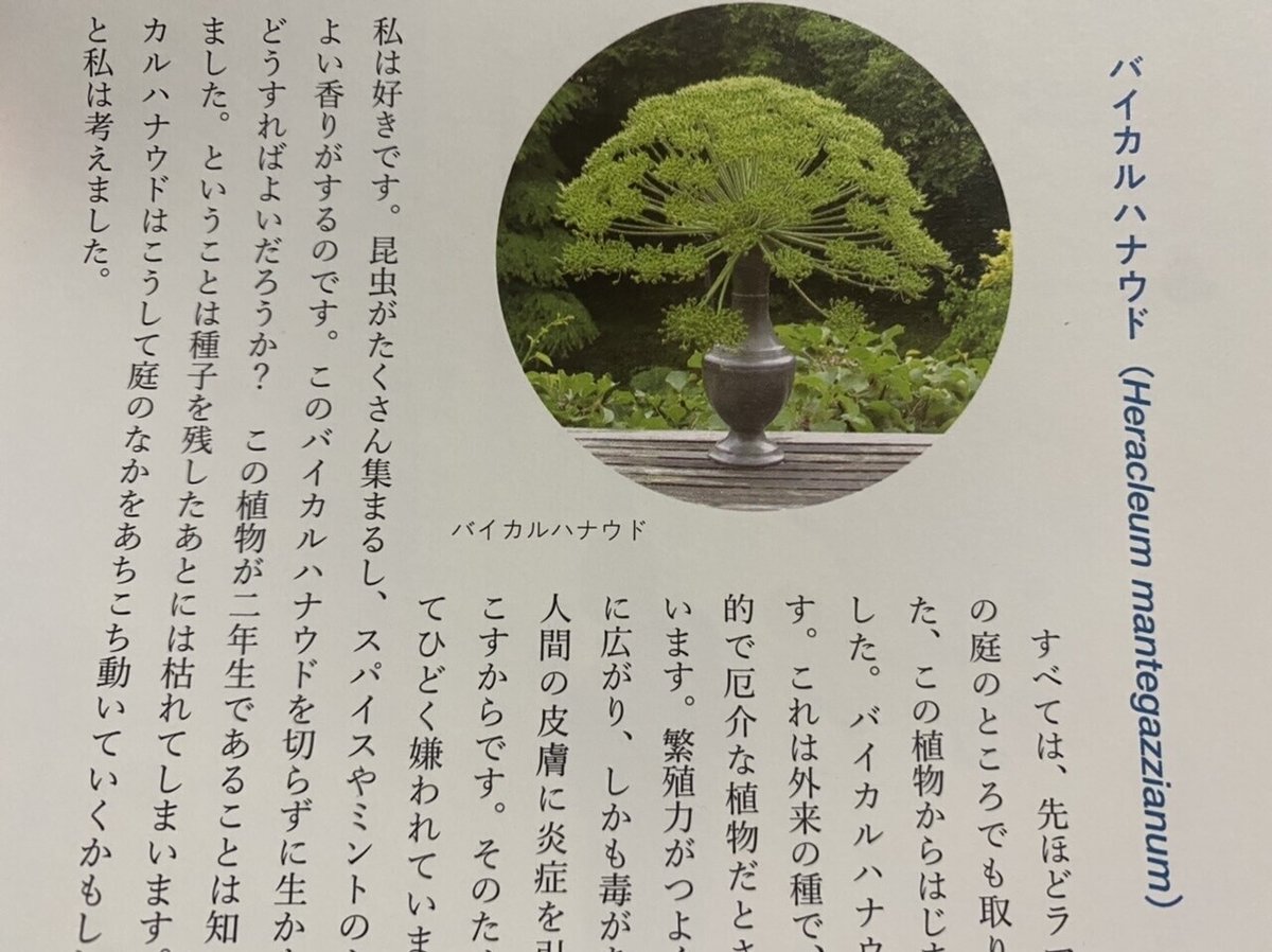 庭師と旅人／ジル・クレマン｜棚橋弘季 Hiroki Tanahashi