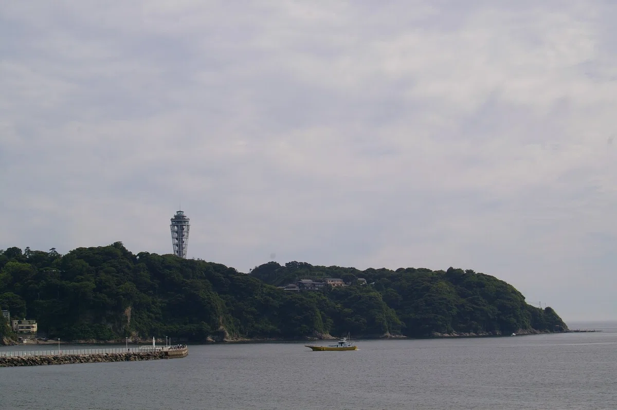 画像8