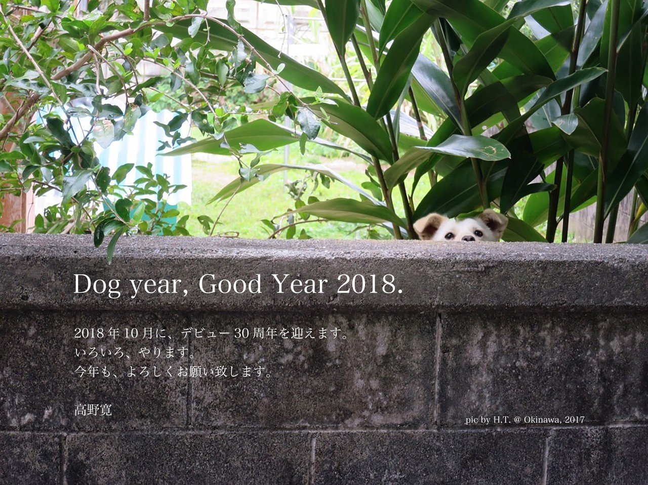 2018年賀_big