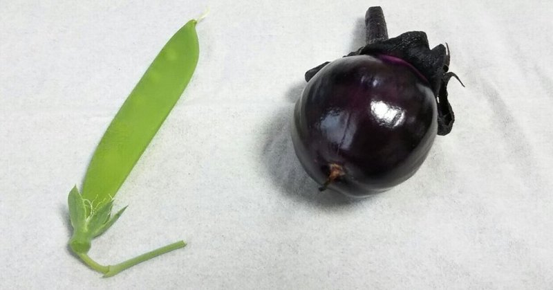 ベランダ ペットボトル菜園 梵天なすの一番果を収穫 とんぷぅ Note