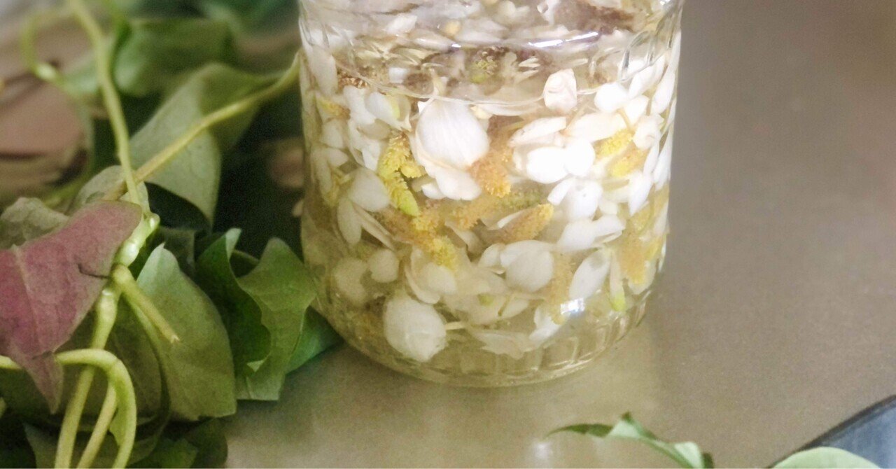 ドクダミ祭り チンキ各種 お茶 料理にも ドクダミカレー ハーブとスパイスで美味しい生活 Note ドクダミ祭り チンキ各種 お茶 料理にも ドクダミカレー ハーブとスパイスで美味しい生活 Note