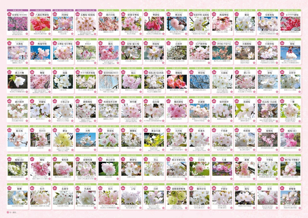 癒しのアウトレット ～一年中桜に出会える町 寄居～｜寄居まちづくりNOTE