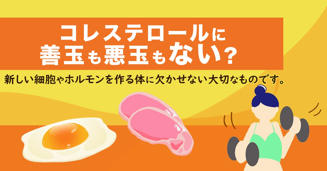 コレステロールに善玉と悪玉はない 新しい細胞やホルモンを作る 体に欠かせない大切なものです ココカラpark Byやずや