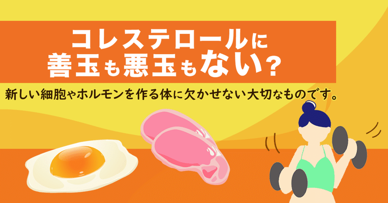 コレステロールに善玉と悪玉はない？新しい細胞やホルモンを作る
体に欠かせない大切なものです。