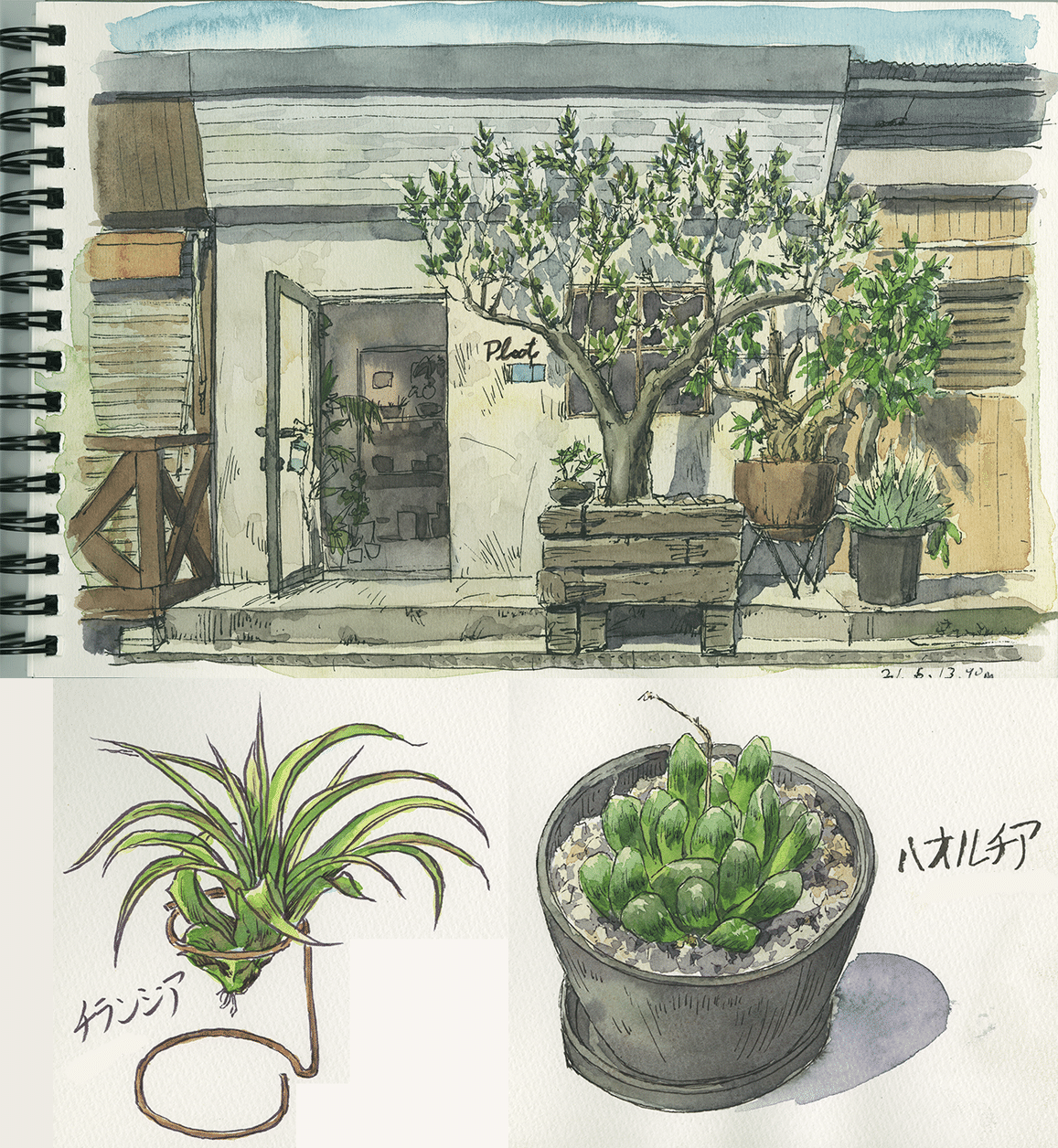実際に行った観葉植物店を宣伝するためのものを作ろうと思い ターゲットと売るものを決めたら どんな内容のネタを集め どんな雰囲気の絵を描けばいいか 売るための作戦が見えてきました ただ漠然と綺麗に描いて 後藤太郎 アニメーション背景 Note
