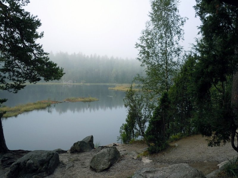 フィンランドの自然を大切にするデザインを感じるフィッシュペンケース誕生 フェリシモミュージアム部 Note