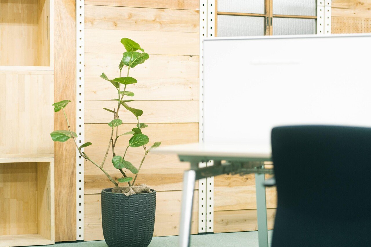 かいぜん 植物が増えて さらに居心地よい空間になりました Mass Mass Note