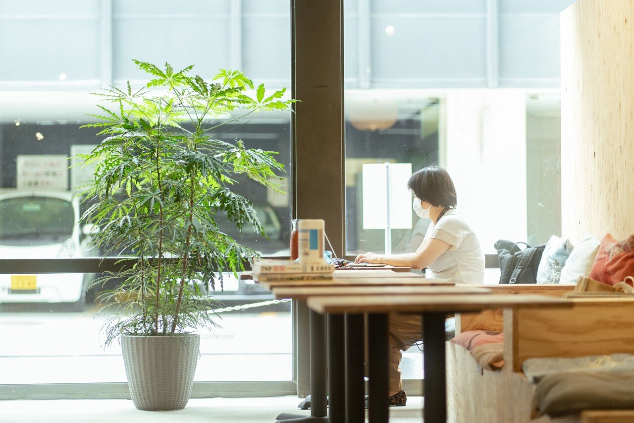 かいぜん 植物が増えて さらに居心地よい空間になりました Mass Mass Note かいぜん 植物が増えて さらに居心地よい空間になりました Mass Mass Note