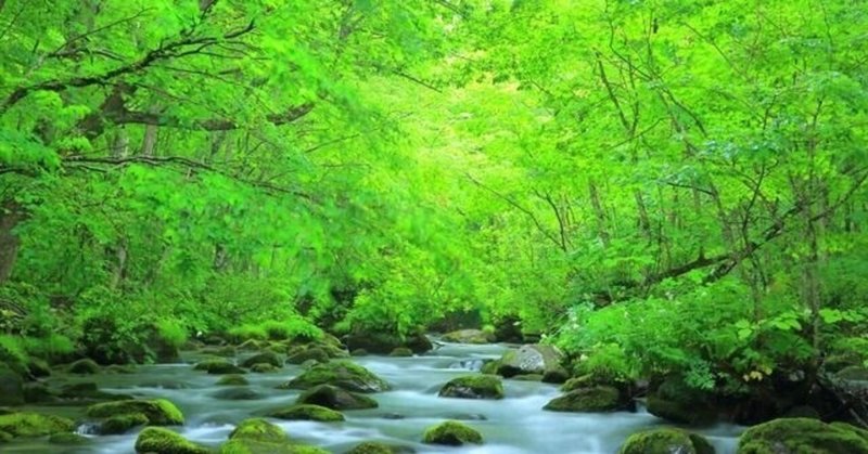 草の葉 の新着タグ記事一覧 Note つくる つながる とどける 草の葉 の新着タグ記事一覧 Note つくる つながる とどける