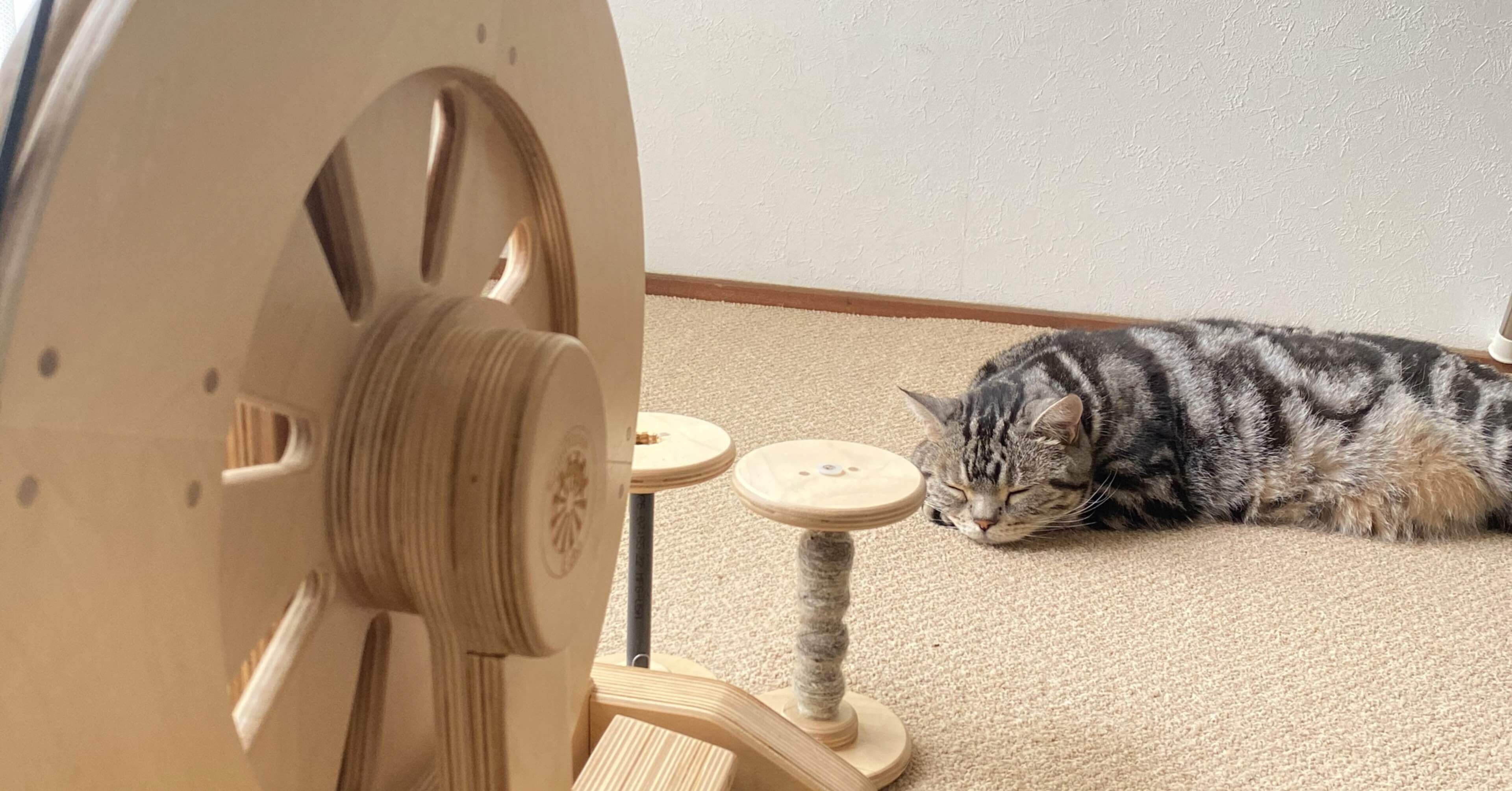 6003147384ef8f260533c9a8703832