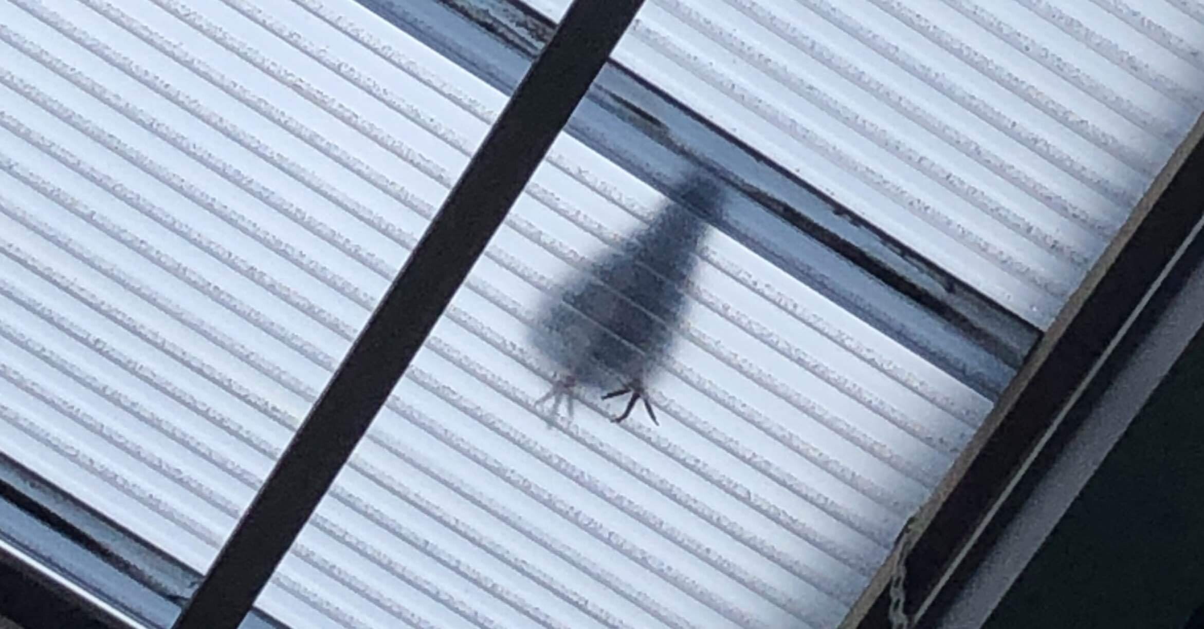 左利きの雨男はポケットに手を入れて歩く 10 左利きの雨男 Note