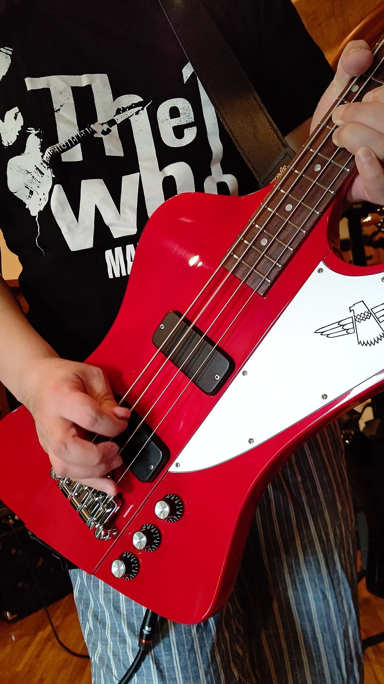 Gibson Thunderbird Bass 2006年 ネック折れ 抜け殻