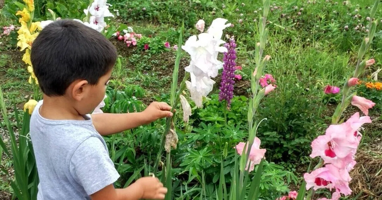 自然体験の乏しい親が、子供を自然の中で育てるうえで手放した幻想 
