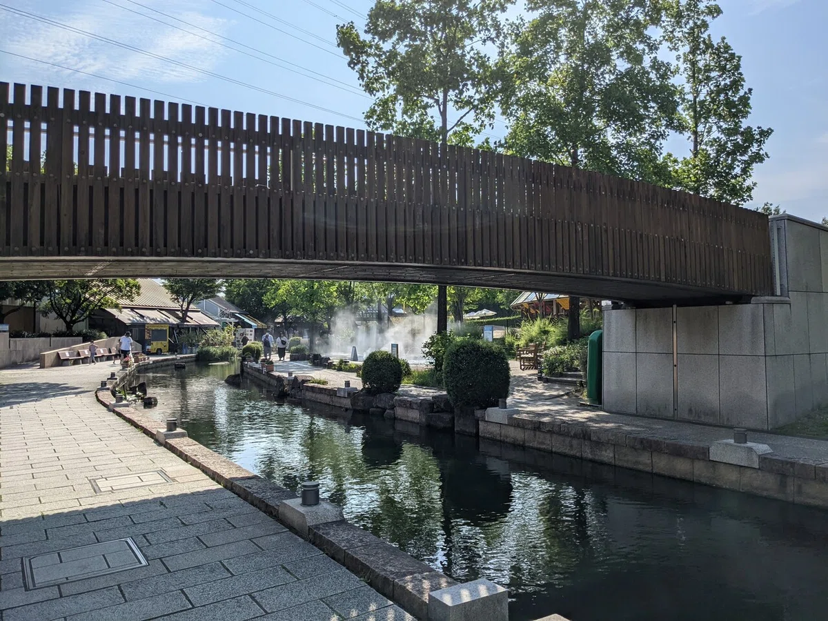 画像8