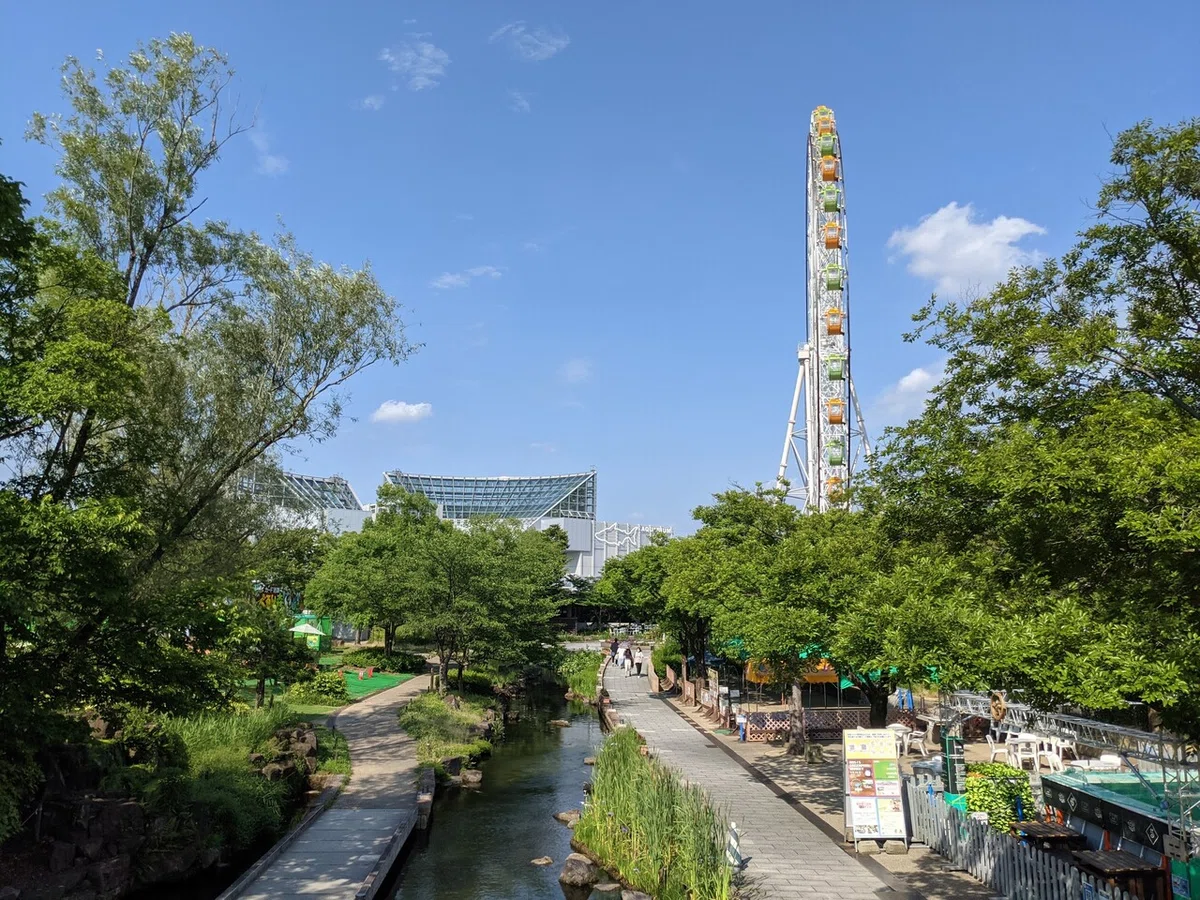 画像9