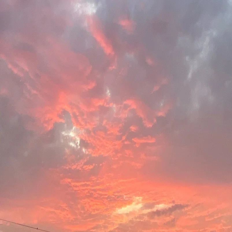 夕焼け色のゼリーが嫌いだったことを思い出す夕暮れ時 岡田知子 猫と暮らすライター Note