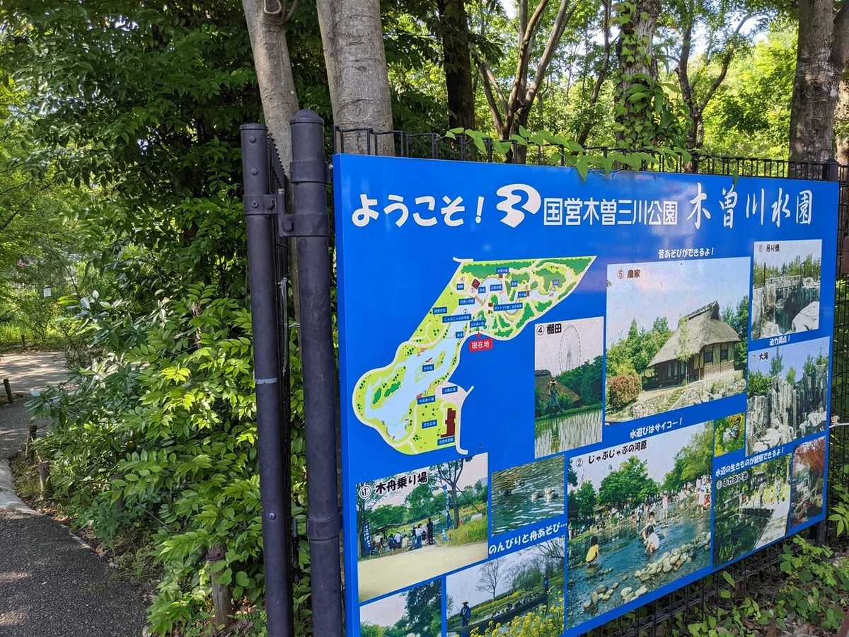 画像11