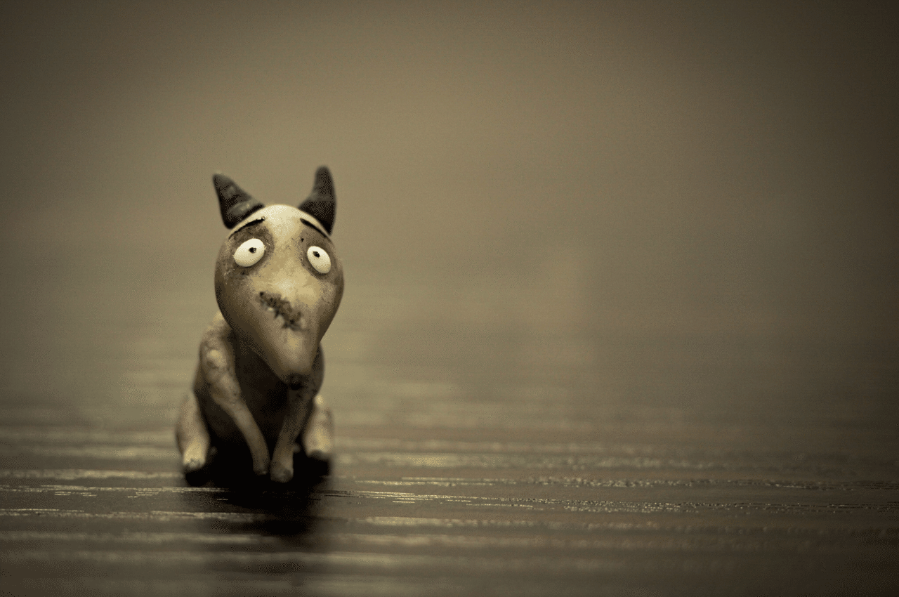 フランケン ウィニー Coca Note