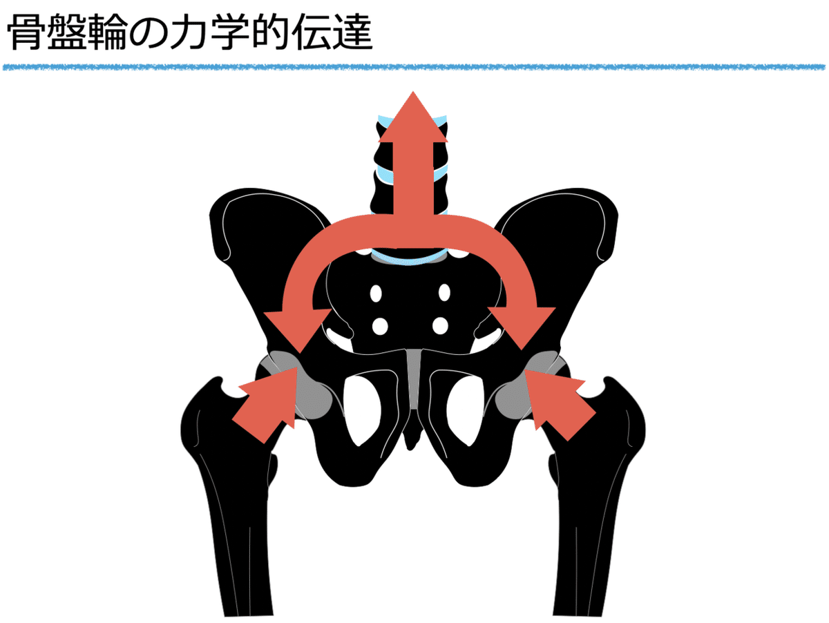 三浦誠の「1分完結-SH矯正法マスタープログラム」骨盤 仙腸関節 全脊柱矯正法マスタープログラム】三浦誠 整体 手技 DVD 治療院