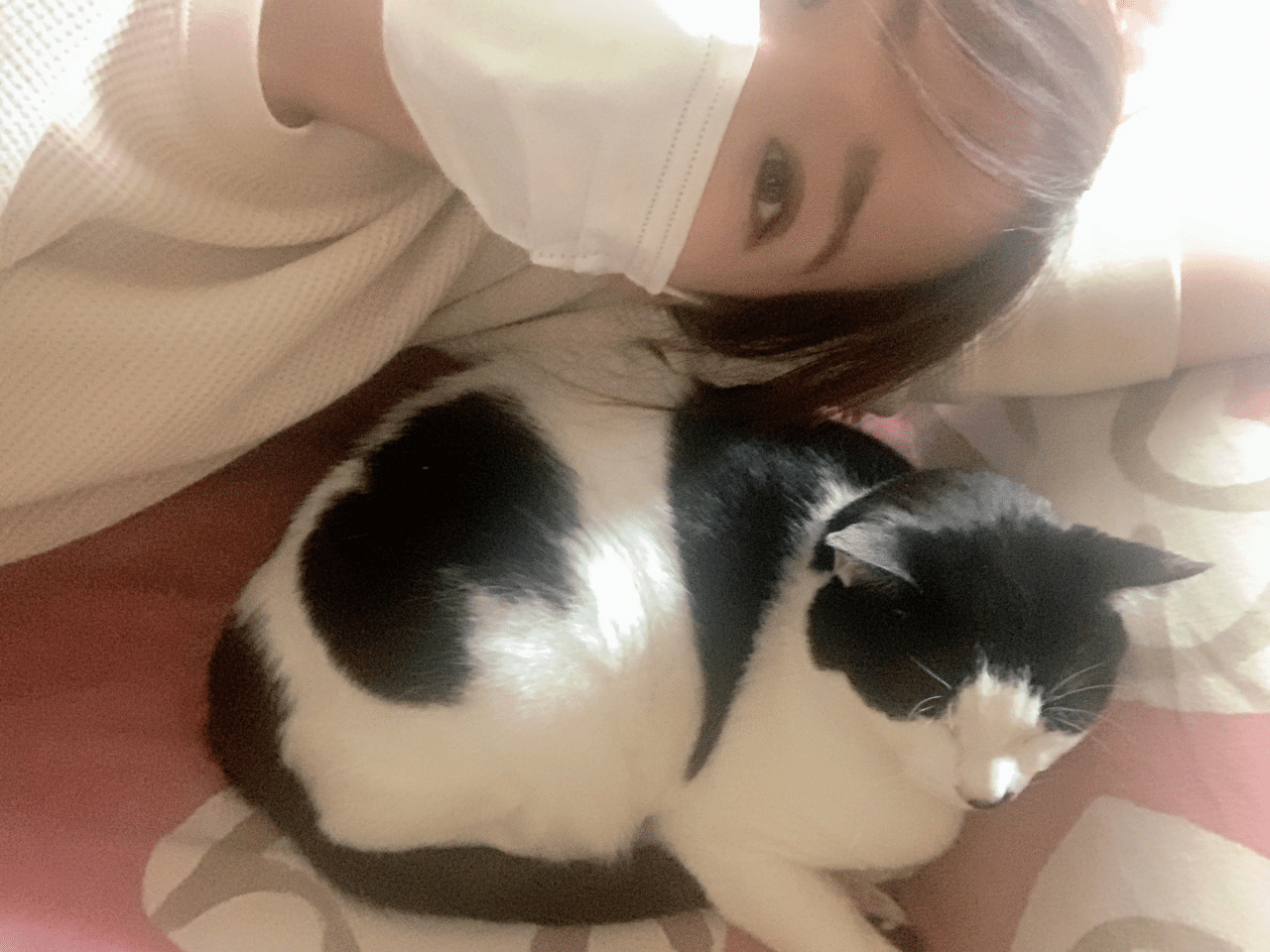 にゃーん 猫 みるみる Note にゃーん 猫 みるみる Note