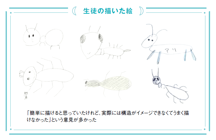 生き物の絵を描く 見ているはずなのに描けない あなたは身近にいるアリや魚の絵を描けますか Ace編集室 Note 生き物の絵を描く 見ているはずなのに描けない あなたは身近にいるアリや魚の絵を描けますか Ace編集室 Note