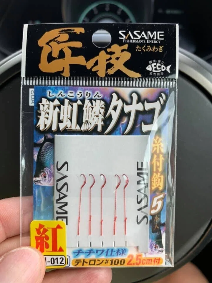 画像24