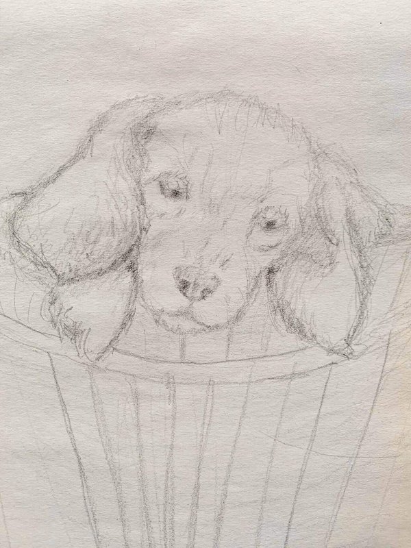 過去の落書き 犬 鉛筆 ナマケモノのスマイロ ピース絵本制作中