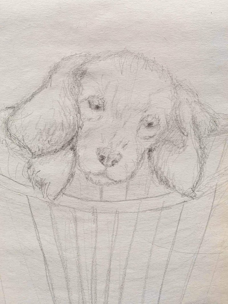 過去の落書き 犬 鉛筆 ナミナミ シズカ Note 過去の落書き 犬 鉛筆 ナミナミ シズカ Note