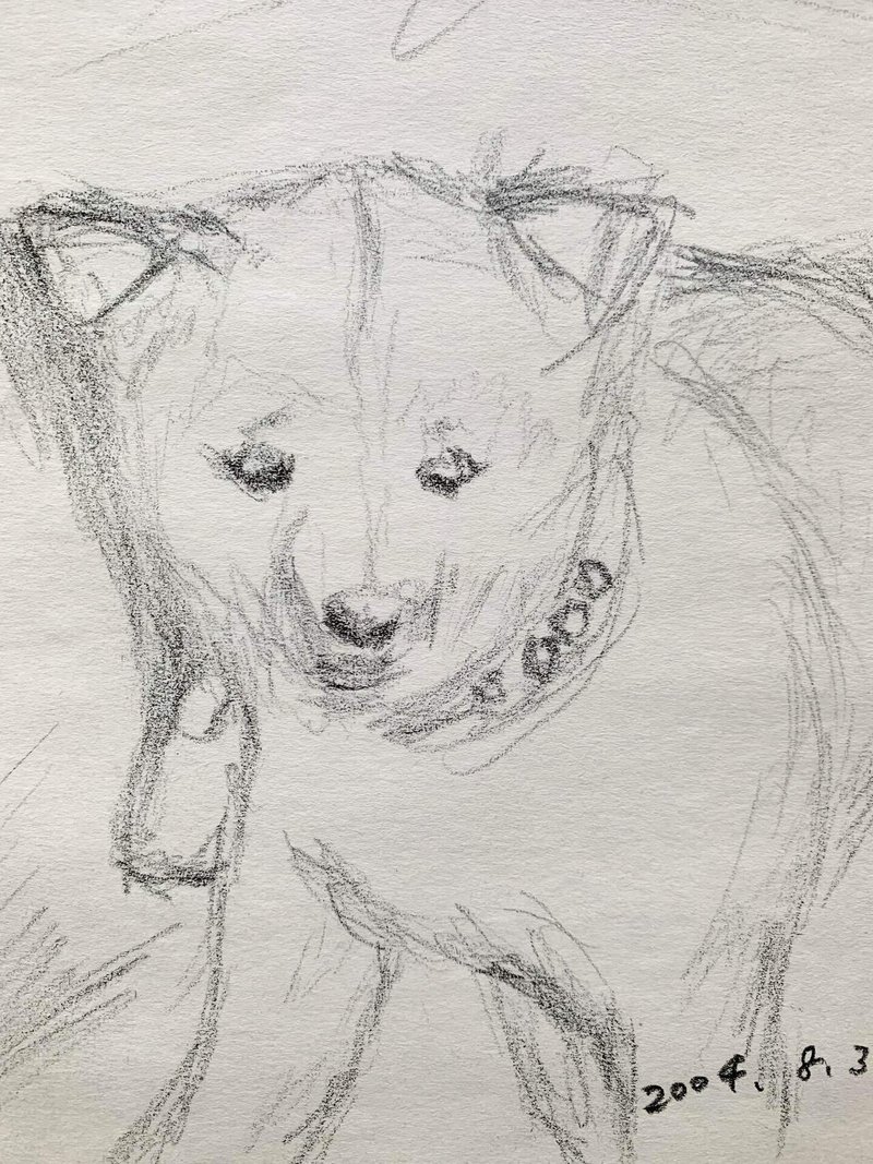 過去の落書き 犬 鉛筆 ナミナミ シズカ Note 過去の落書き 犬 鉛筆 ナミナミ シズカ Note