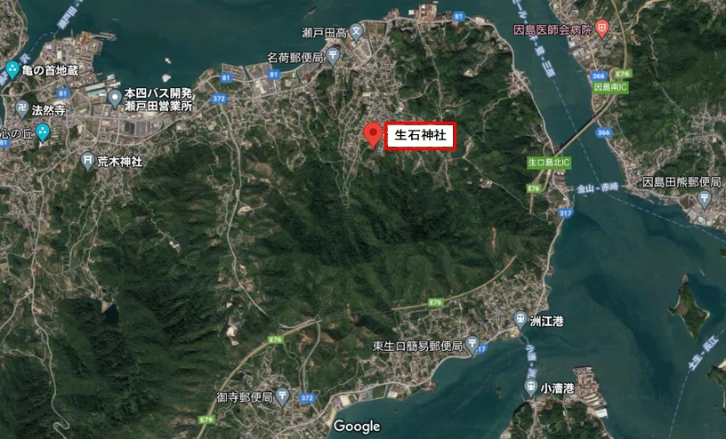 画像7