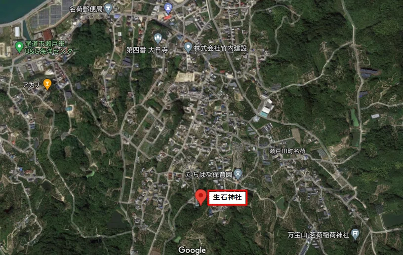 画像8