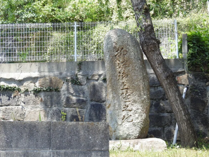 画像30